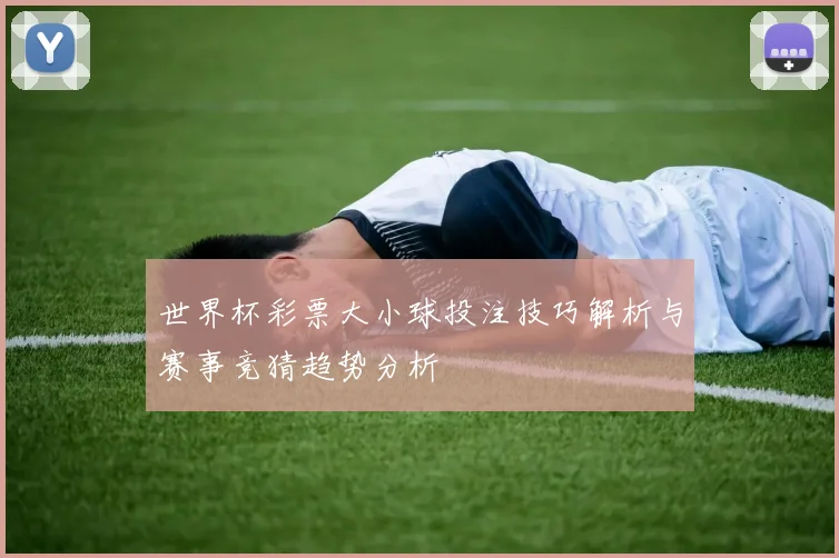 世界杯彩票大小球投注技巧解析与赛事竞猜趋势分析
